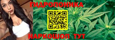 марки nbome Сланцы